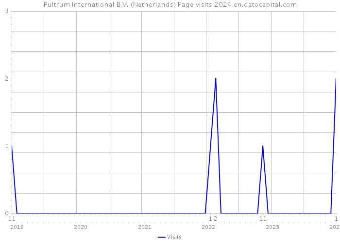 Pultrum International B.V. (Netherlands) Page visits 2024 