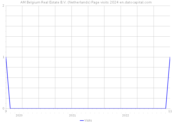 AM Belgium Real Estate B.V. (Netherlands) Page visits 2024 
