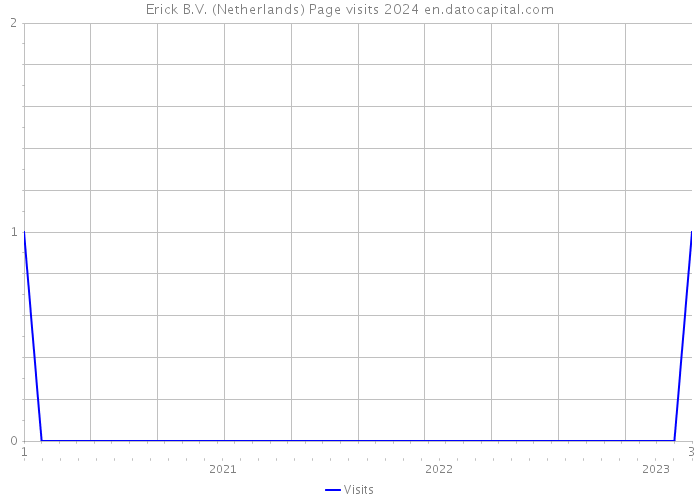 Erick B.V. (Netherlands) Page visits 2024 