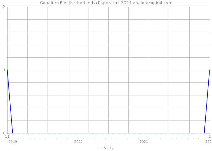 Gaudium B.V. (Netherlands) Page visits 2024 