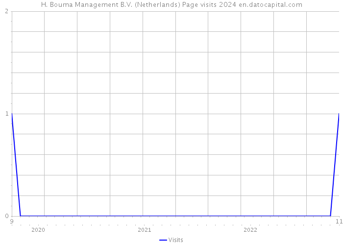 H. Bouma Management B.V. (Netherlands) Page visits 2024 