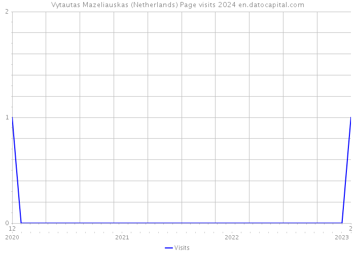 Vytautas Mazeliauskas (Netherlands) Page visits 2024 