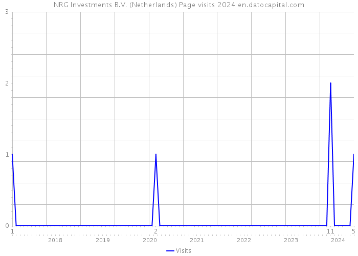 NRG Investments B.V. (Netherlands) Page visits 2024 