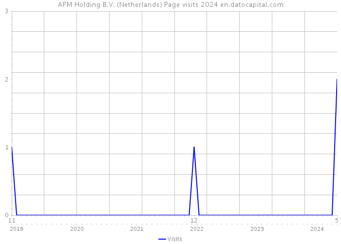 AFM Holding B.V. (Netherlands) Page visits 2024 