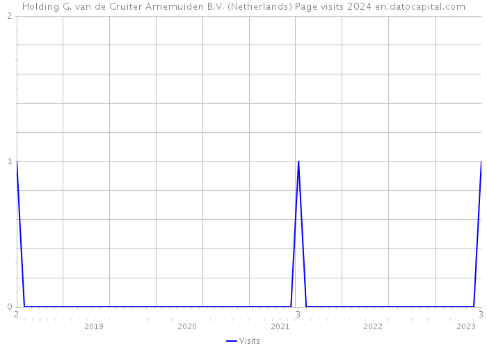 Holding G. van de Gruiter Arnemuiden B.V. (Netherlands) Page visits 2024 