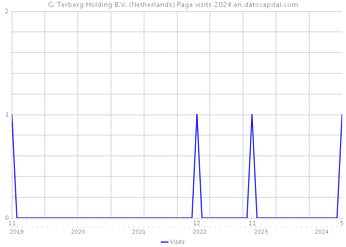 G. Terberg Holding B.V. (Netherlands) Page visits 2024 