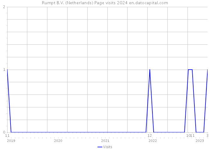 Rumpt B.V. (Netherlands) Page visits 2024 