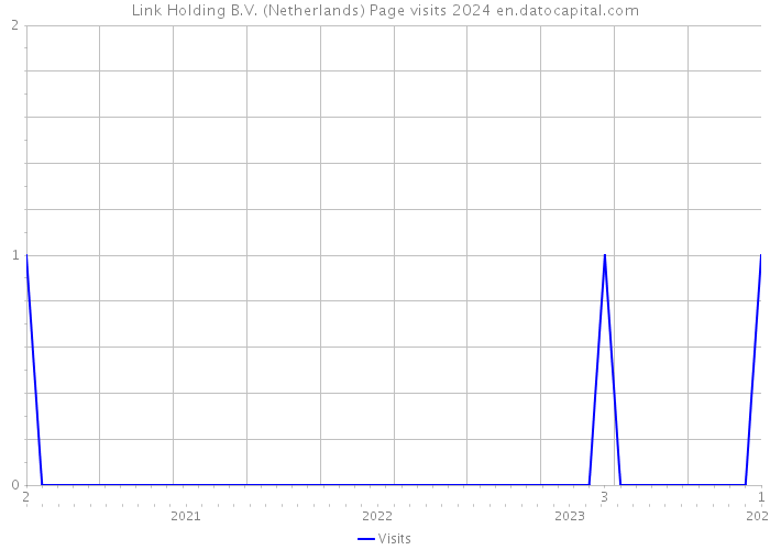 Link Holding B.V. (Netherlands) Page visits 2024 