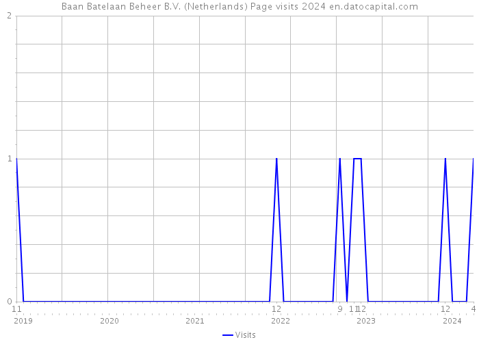 Baan Batelaan Beheer B.V. (Netherlands) Page visits 2024 