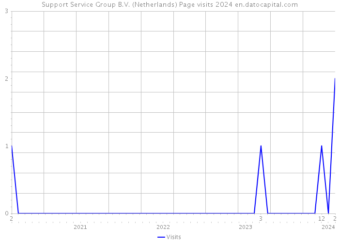 Support Service Group B.V. (Netherlands) Page visits 2024 