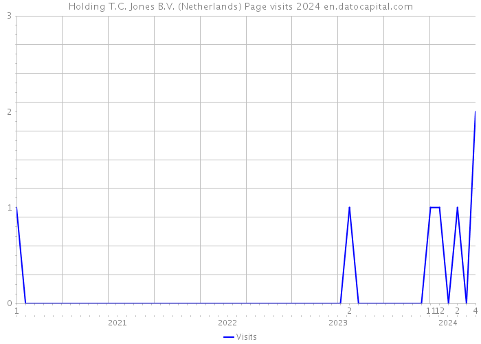Holding T.C. Jones B.V. (Netherlands) Page visits 2024 