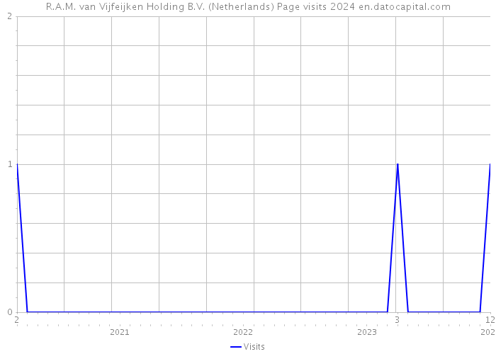 R.A.M. van Vijfeijken Holding B.V. (Netherlands) Page visits 2024 