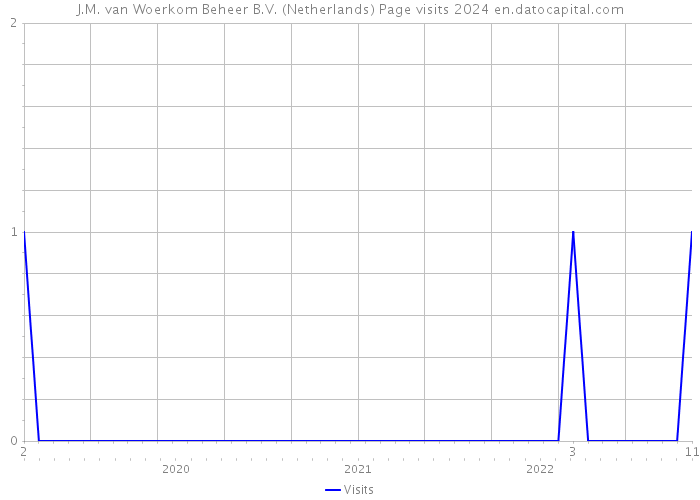 J.M. van Woerkom Beheer B.V. (Netherlands) Page visits 2024 
