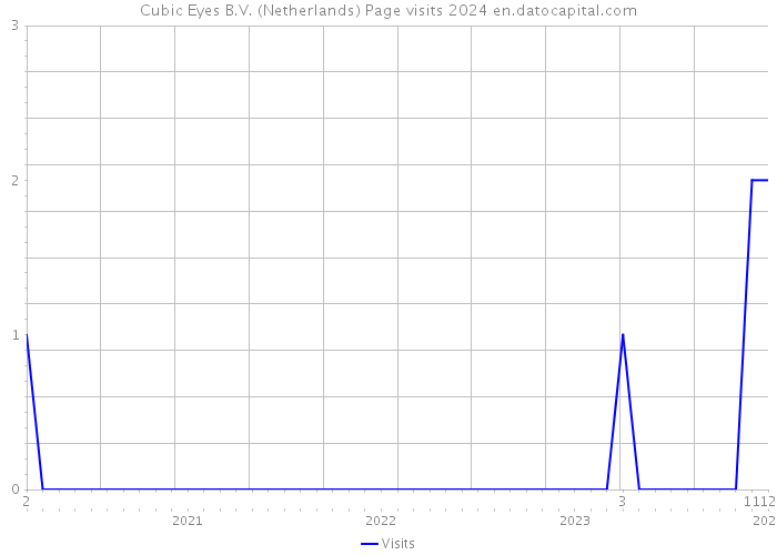 Cubic Eyes B.V. (Netherlands) Page visits 2024 