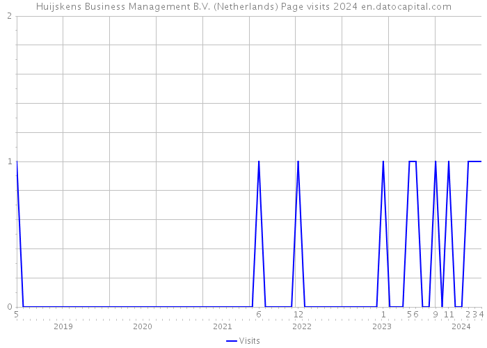 Huijskens Business Management B.V. (Netherlands) Page visits 2024 