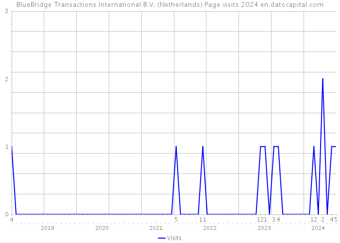 BlueBridge Transactions International B.V. (Netherlands) Page visits 2024 