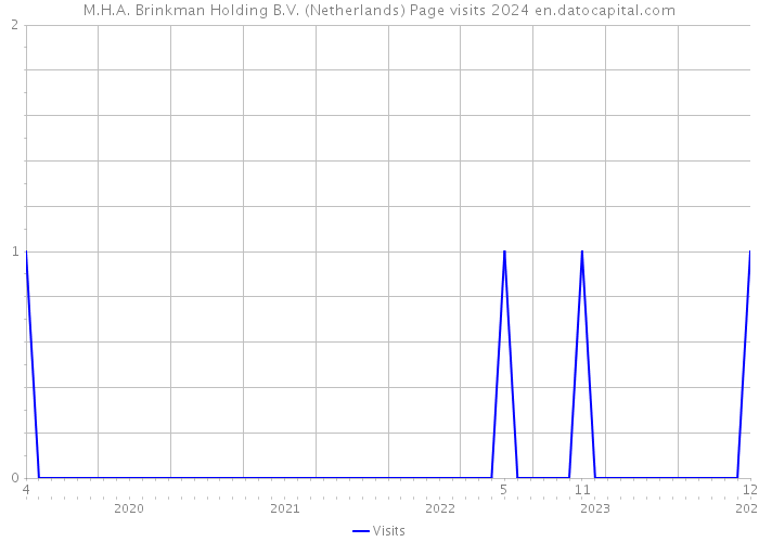 M.H.A. Brinkman Holding B.V. (Netherlands) Page visits 2024 
