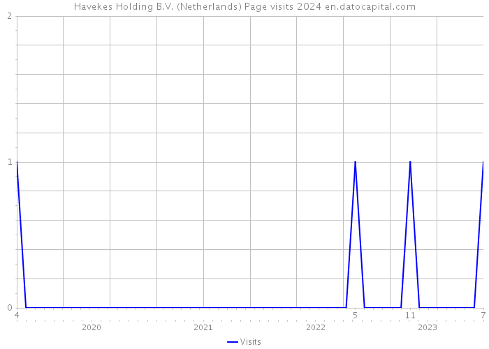 Havekes Holding B.V. (Netherlands) Page visits 2024 