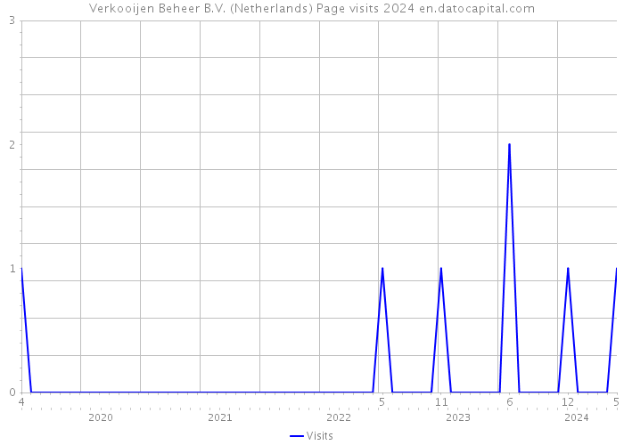 Verkooijen Beheer B.V. (Netherlands) Page visits 2024 