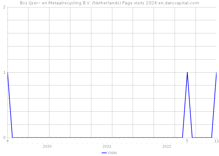 Bos IJzer- en Metaalrecycling B.V. (Netherlands) Page visits 2024 