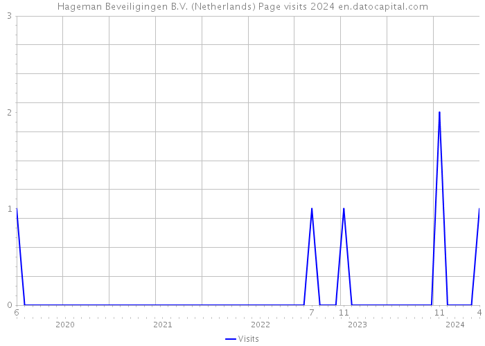 Hageman Beveiligingen B.V. (Netherlands) Page visits 2024 