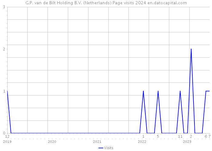 G.P. van de Bilt Holding B.V. (Netherlands) Page visits 2024 