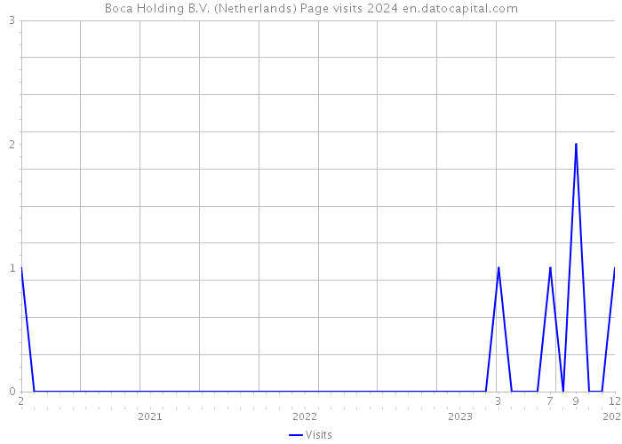 Boca Holding B.V. (Netherlands) Page visits 2024 