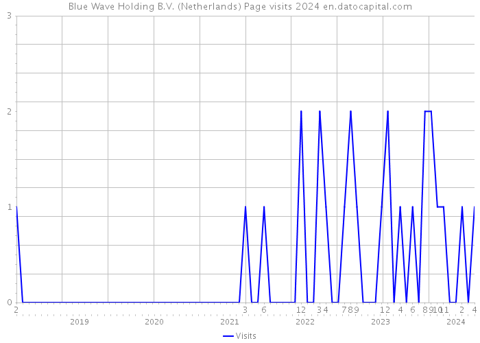 Blue Wave Holding B.V. (Netherlands) Page visits 2024 