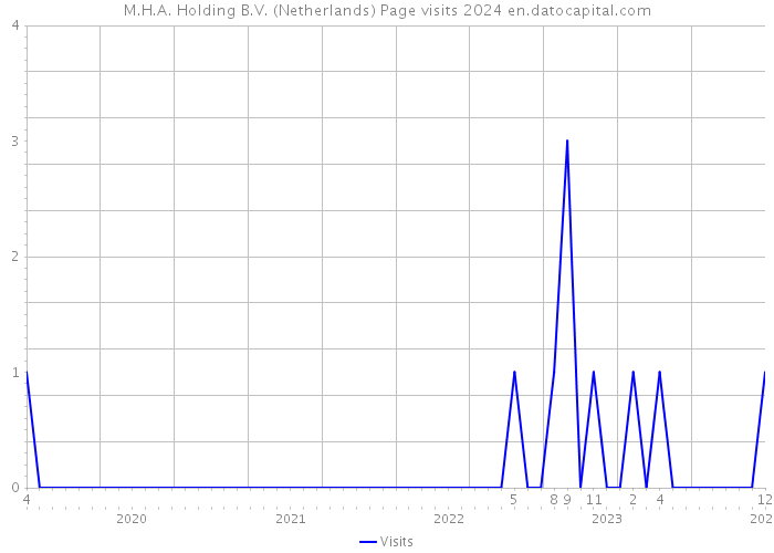 M.H.A. Holding B.V. (Netherlands) Page visits 2024 
