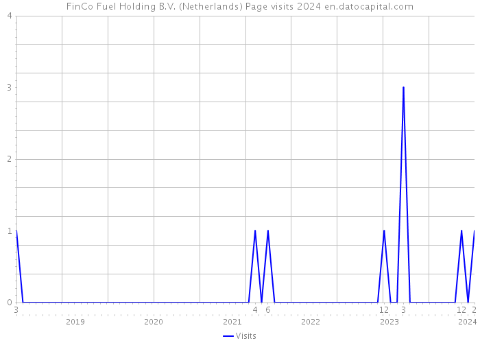 FinCo Fuel Holding B.V. (Netherlands) Page visits 2024 
