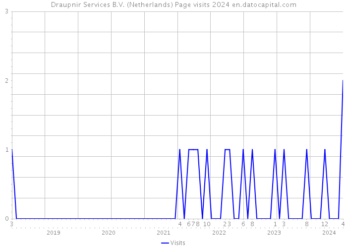 Draupnir Services B.V. (Netherlands) Page visits 2024 