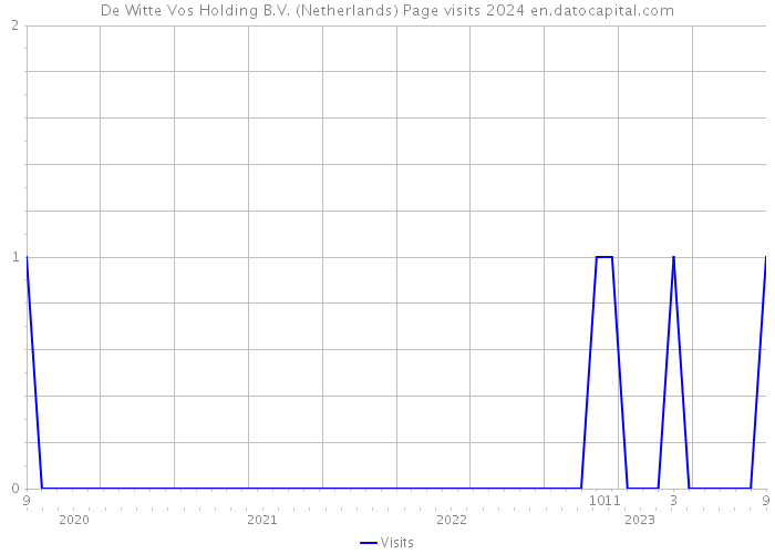 De Witte Vos Holding B.V. (Netherlands) Page visits 2024 