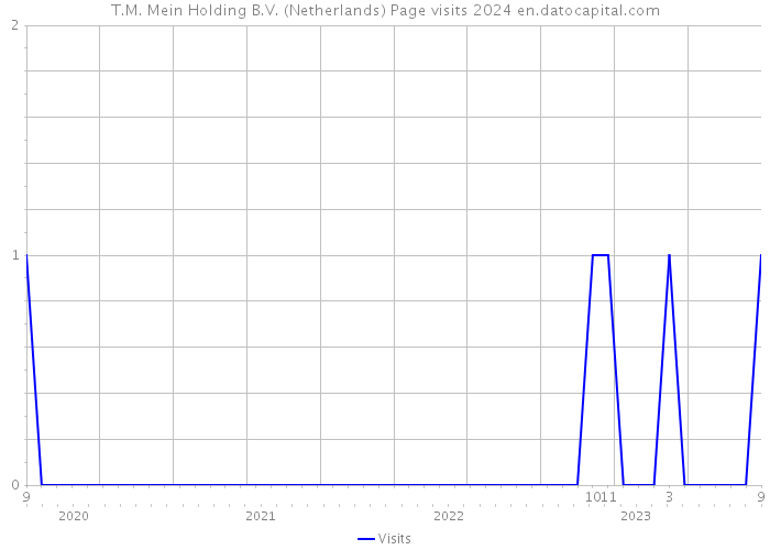 T.M. Mein Holding B.V. (Netherlands) Page visits 2024 