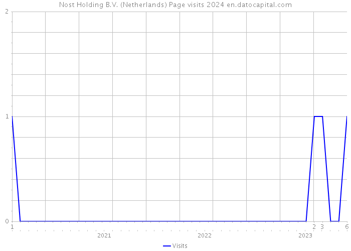 Nost Holding B.V. (Netherlands) Page visits 2024 