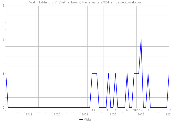 Viab Holding B.V. (Netherlands) Page visits 2024 