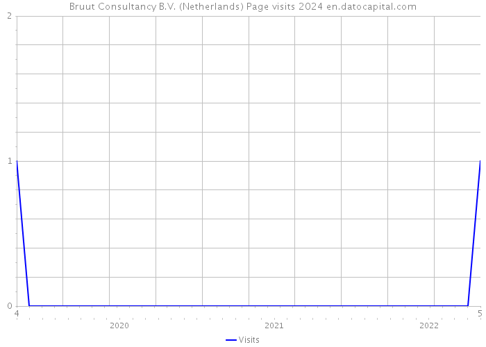 Bruut Consultancy B.V. (Netherlands) Page visits 2024 