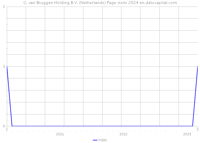 G. van Bruggen Holding B.V. (Netherlands) Page visits 2024 