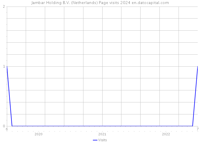 Jambar Holding B.V. (Netherlands) Page visits 2024 