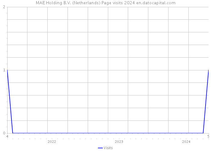 MAE Holding B.V. (Netherlands) Page visits 2024 