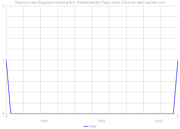 Marinus van Diggelen Holding B.V. (Netherlands) Page visits 2024 