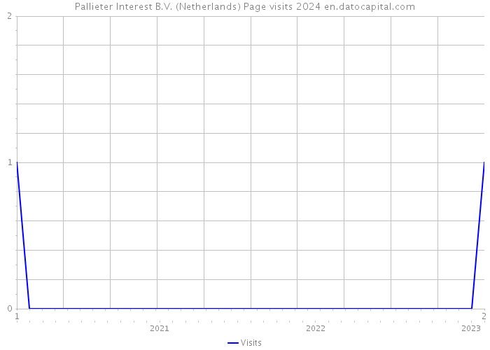 Pallieter Interest B.V. (Netherlands) Page visits 2024 