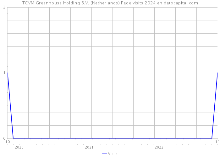 TCVM Greenhouse Holding B.V. (Netherlands) Page visits 2024 