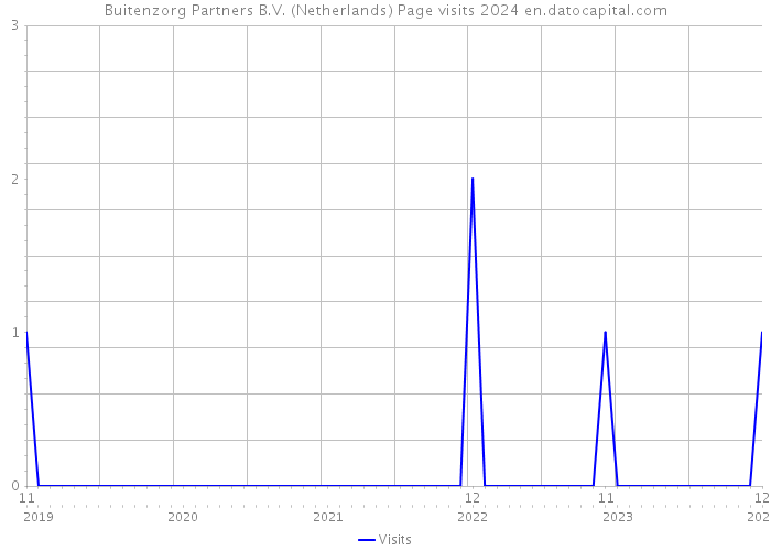 Buitenzorg Partners B.V. (Netherlands) Page visits 2024 