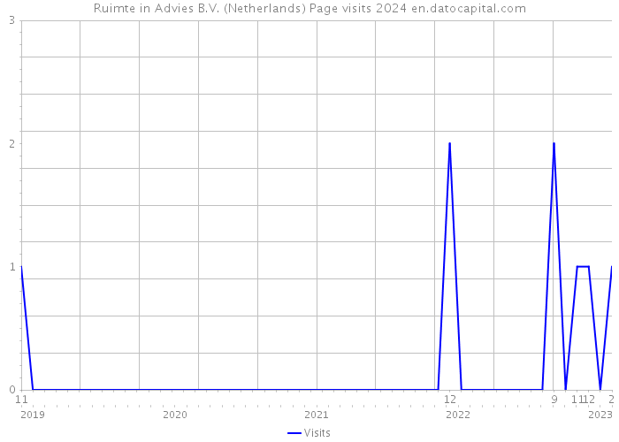 Ruimte in Advies B.V. (Netherlands) Page visits 2024 