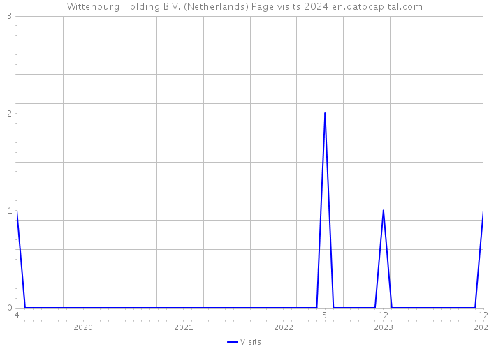 Wittenburg Holding B.V. (Netherlands) Page visits 2024 