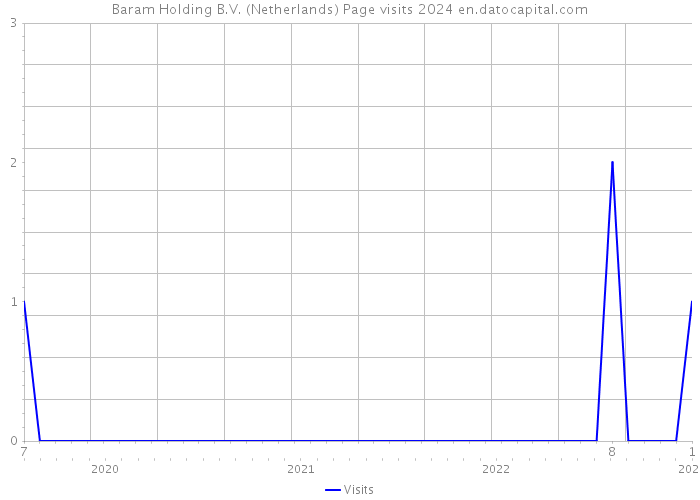 Baram Holding B.V. (Netherlands) Page visits 2024 