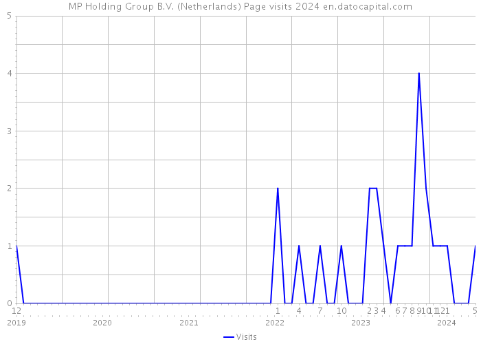 MP Holding Group B.V. (Netherlands) Page visits 2024 