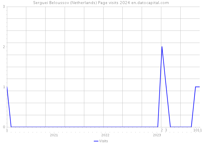 Serguei Beloussov (Netherlands) Page visits 2024 
