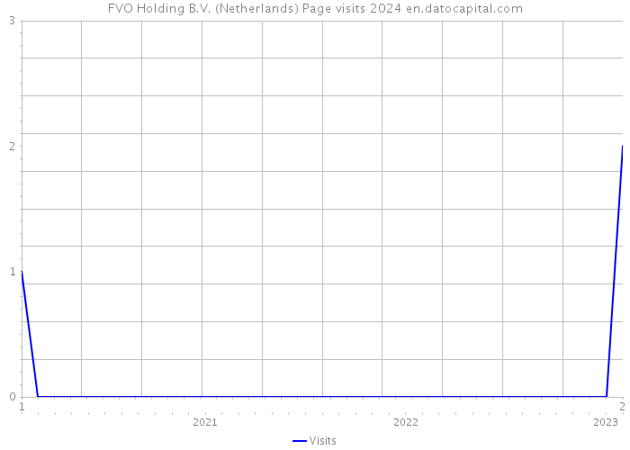 FVO Holding B.V. (Netherlands) Page visits 2024 