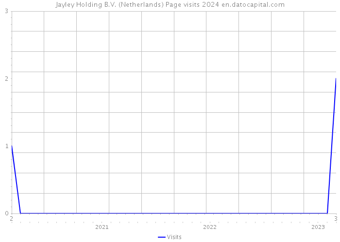 Jayley Holding B.V. (Netherlands) Page visits 2024 